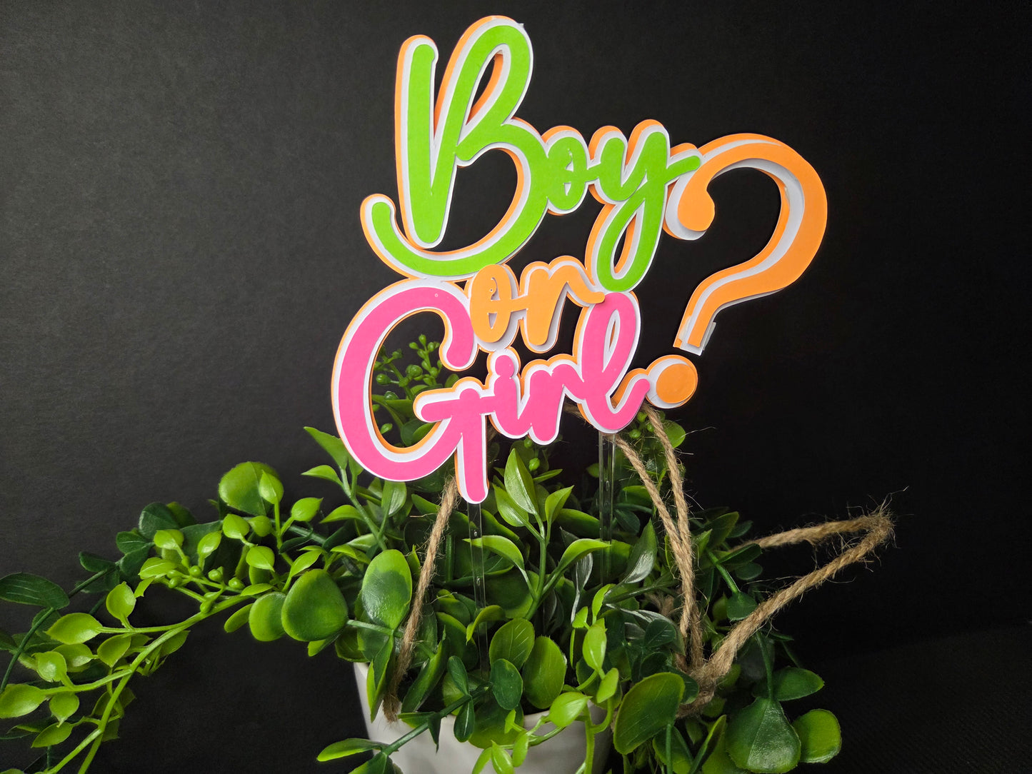 Boy or girl ? cake topper