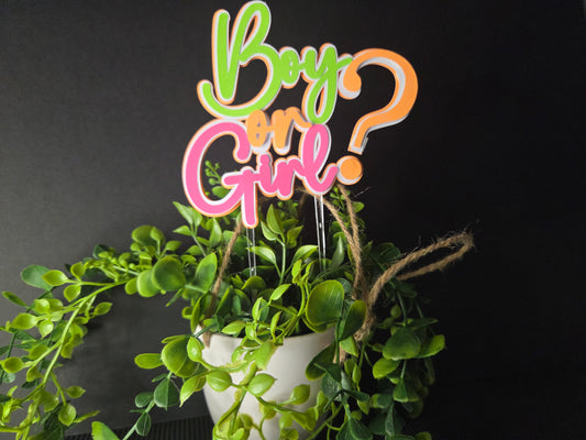 Boy or girl ? cake topper